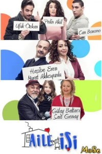 Семейное дело турецкий сериал