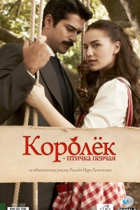 Королёк – птичка певчая турецкий сериал